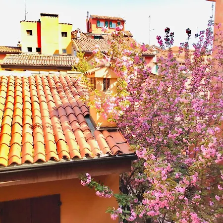 Falcone 22 Apartmán *